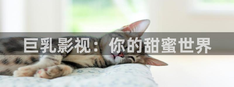 飘零影院电影