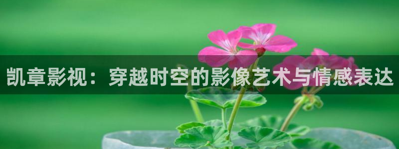 未来飘零影院