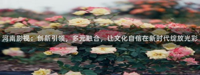 飘零影院伦理片