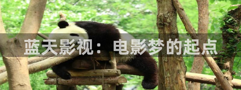 飘零福利影院