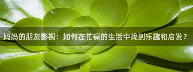 飘零影院免费观看