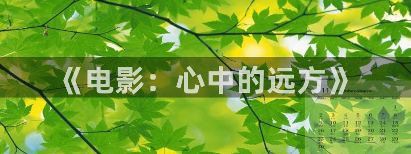 飘零影院在线免费观看