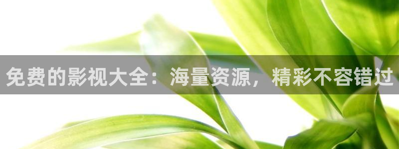 飘零影院免费观看电视剧