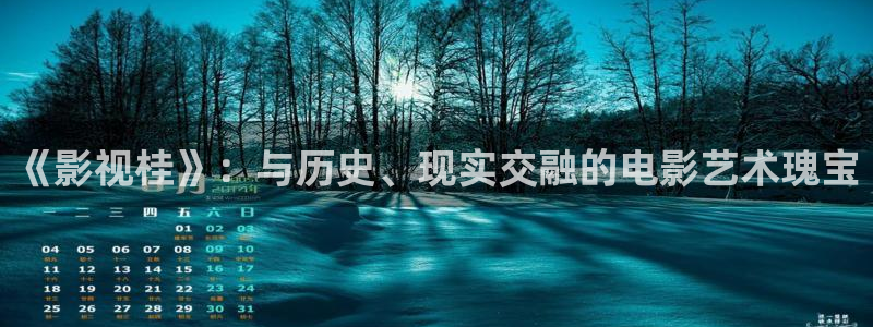 飘零影院手机